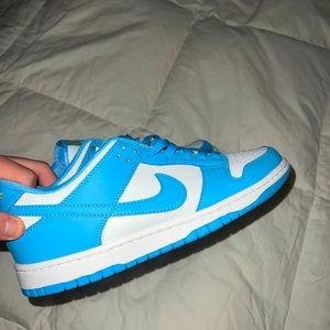 Nike dunk low coast (no box)